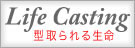Life Casting -�^����鐶��-